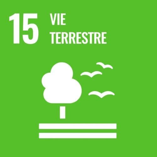 Objectif de développement durable de l'onu numéro 15 vie terrestre