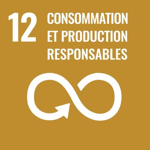 Objectif de développement durable de l'onu numéro 12 consommation et production responsables