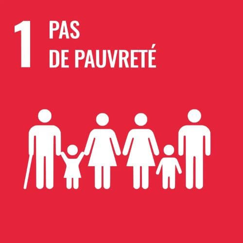 Objectif de développement durable de l'onu numéro