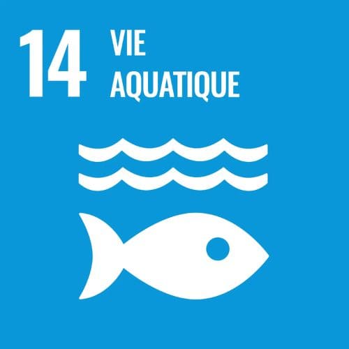 Objectif de développement durable de l'onu numéro 14 vie aquatique