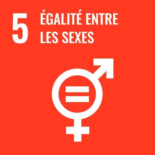 Objectif de développement durable de l'onu numéro 5 égalité des sexes