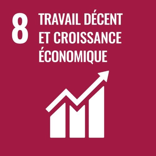 Objectif de développement durable de l'onu numéro 8 travail décent et croissance économique