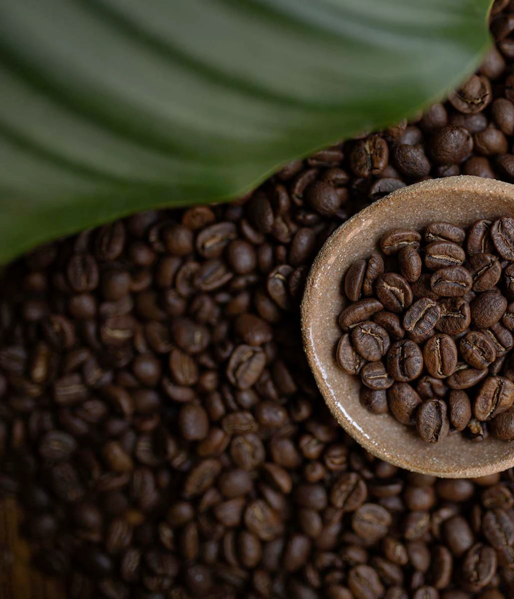 grain de café misterbean