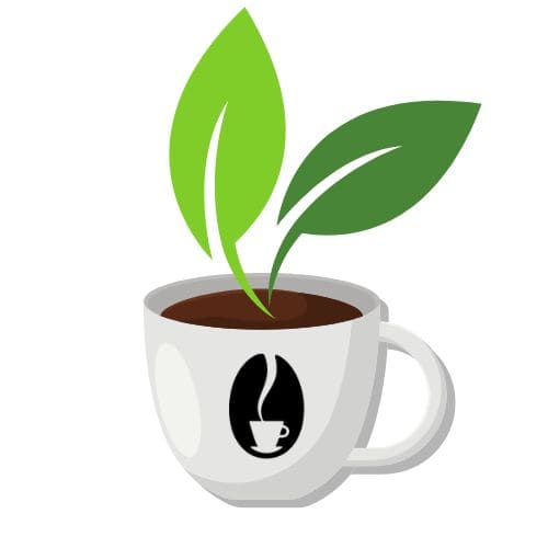 Le café en grain Misterbean est plus écologique, plus économique et développe des arômes inégalables.