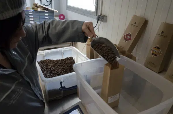 personne en situation de handicap versant du café en grain MisterBean dans un sachet en papier recyclable