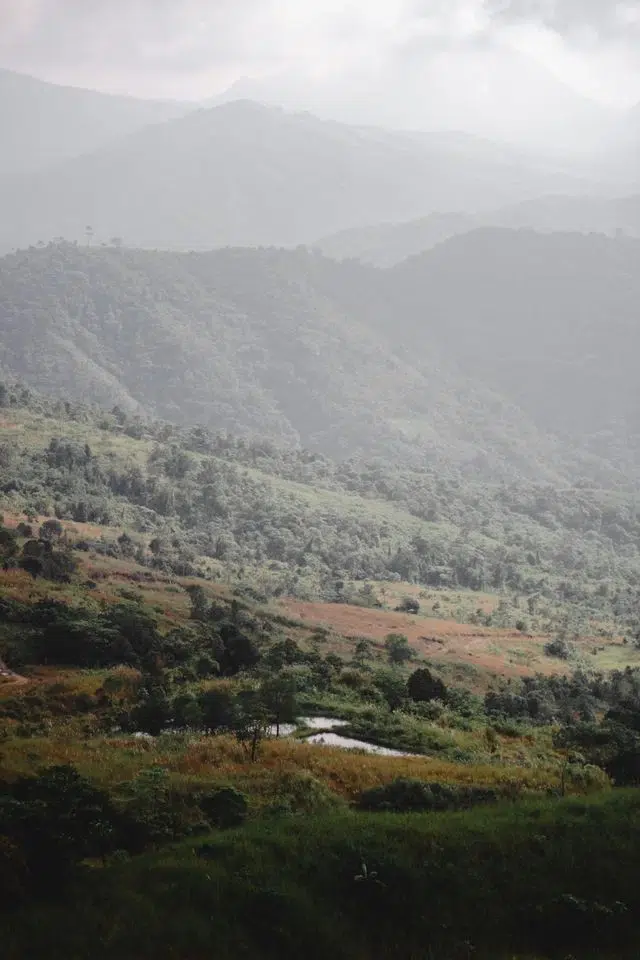 pays producteur de café paysage montagne